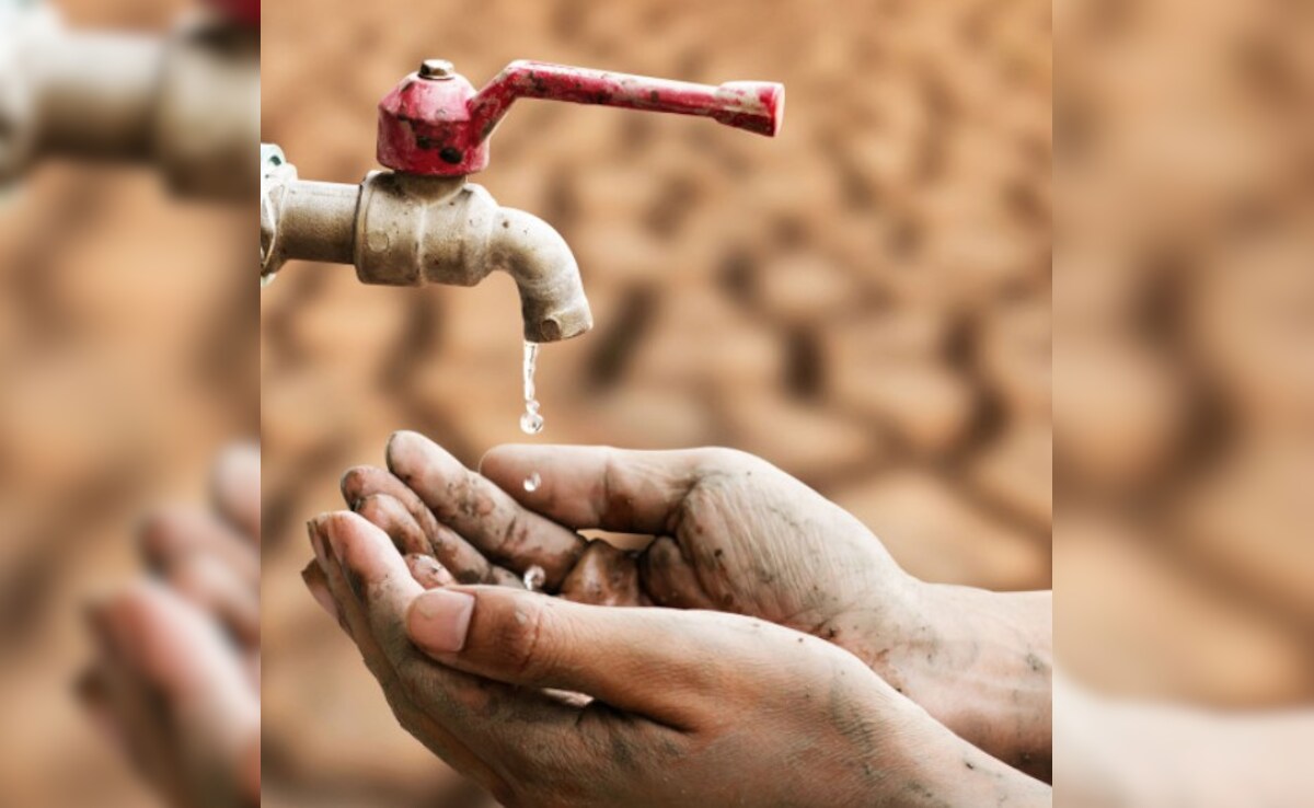 Latest and Breaking News on NDTV Latest and Breaking News on NDTV