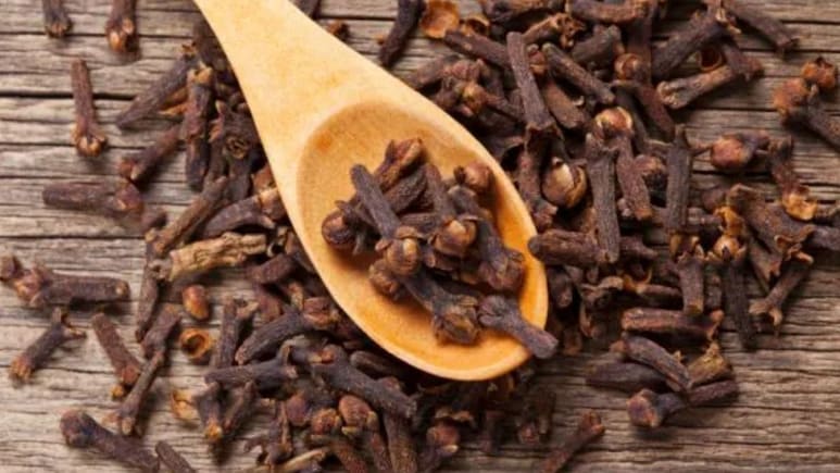 लौंग को रात में मुंह में रखने के क्या फायदे हैं? क्या लौंग को रात भर मुंह में छोड़ सकते हैं, एक्सपर्ट से जानिए