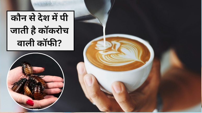 कौन से देश में कॉकरोच वाली कॉफी पीने के लिए घंटों लाइनों में खड़े रहते हैं लोग, कीमत जान हैरान हो जाएंगे आप