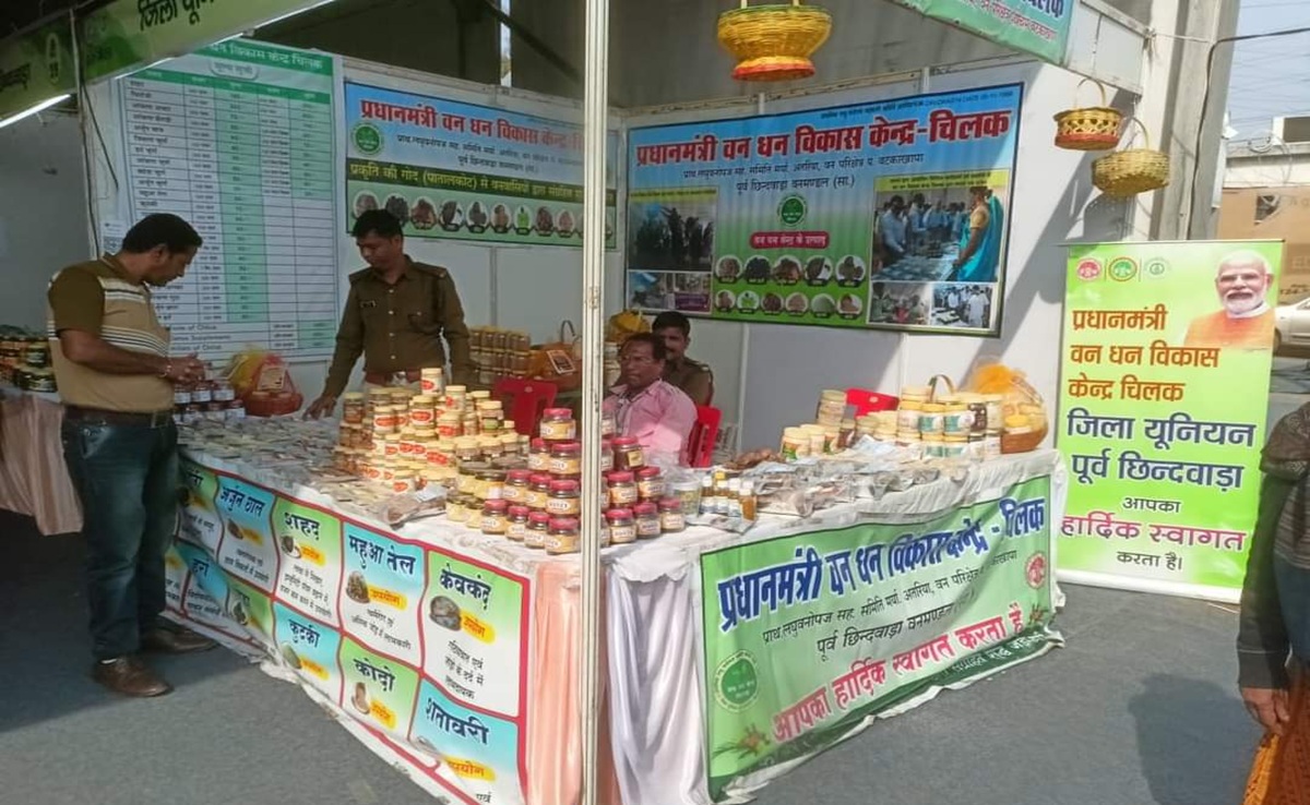 11वें अंतर्राष्ट्रीय वन मेले में 350 स्टॉल; देश भर के एक्सपर्ट्स जुटेंगे, औषधि से लेकर ये सबकुछ है खास