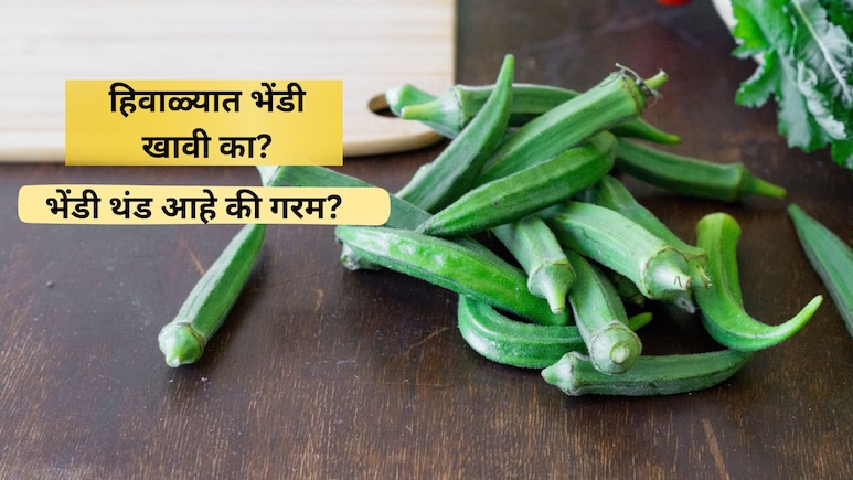 Health Tips: हिवाळ्यात भेंडी खाल्ल्यास काय होते? कोणता आजार होतो बरा? डॉक्टरांनी दिला सल्ला