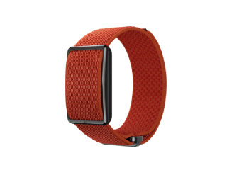 बिना स्क्रीन वाला फिटनेस ट्रैकर! Polar Loop भारत में लॉन्च, जानें कीमत और फीचर्स