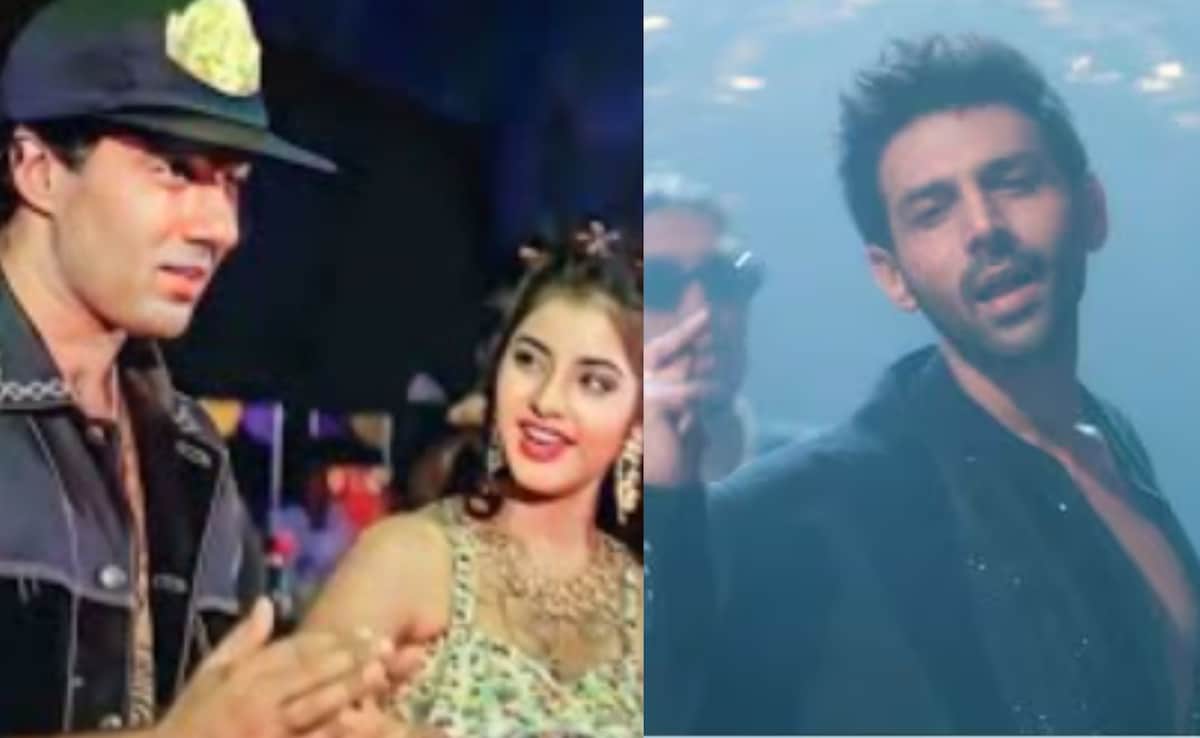 Anand Bakshi's Son Slams Remix Of Saat Samundar Paar In Kartik Aaryan's Tu Meri Main Tera