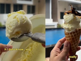 Watch: Biryani Ice Cream? This Bizarre Fusion Dessert Has Social Media Talking