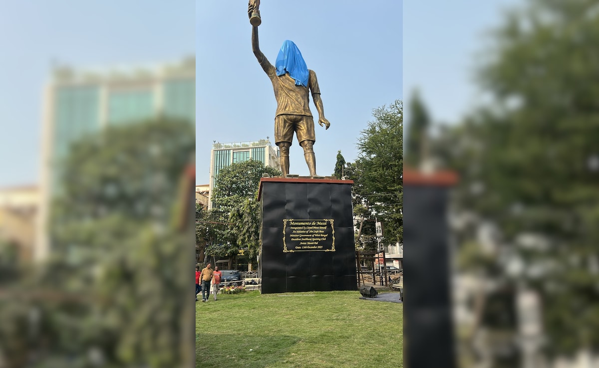 Lionel Messi To Unveil 21-Metre Statue Of Himself On India GOAT Tour
