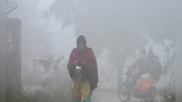 राजस्थान में शीतलहर से हाड़ कंपाने देने वाले ठंड, फतेहपुर में&nbsp;तापमान 3.5 डिग्री सेल्सियस; IMD का अलर्ट&nbsp;