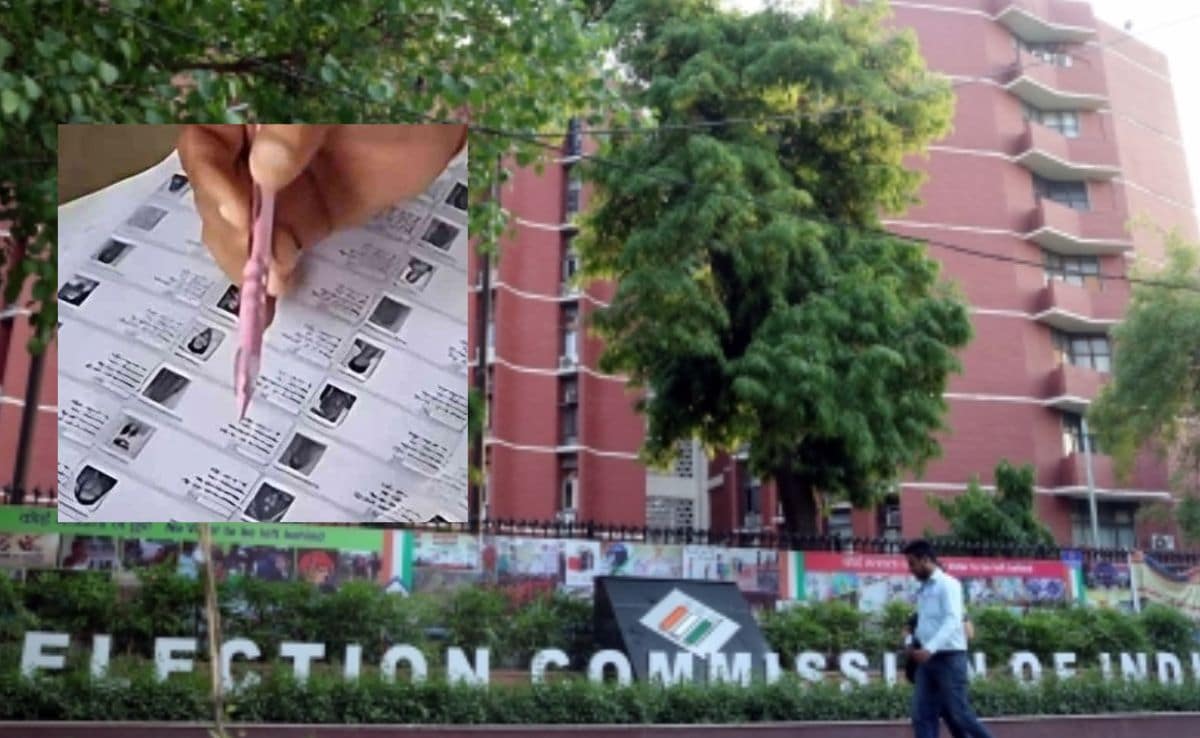 Latest and Breaking News on NDTV