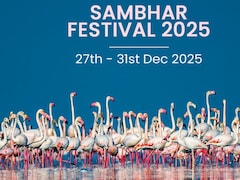 Sambhar Festival 2025: Why This Rajasthan Event Is Attracting Tourists This December