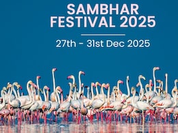 Sambhar Festival 2025: Why This Rajasthan Event Is Attracting Tourists This December