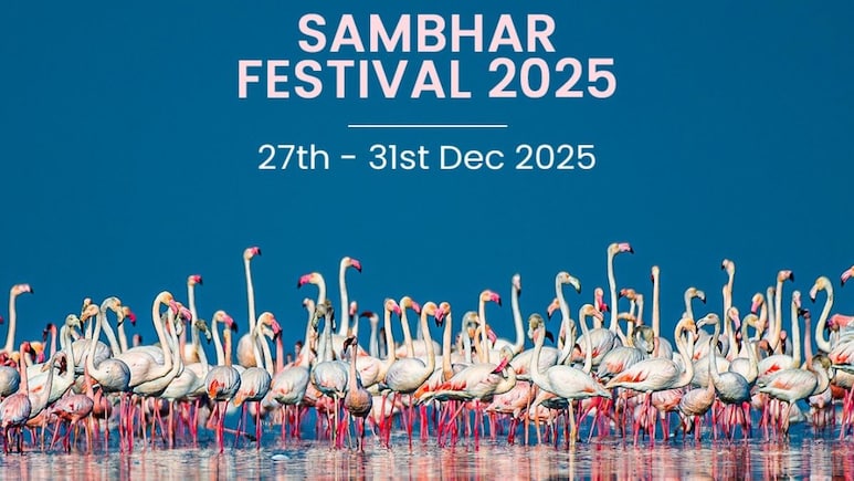 Sambhar Festival 2025: Why This Rajasthan Event Is Attracting Tourists This December