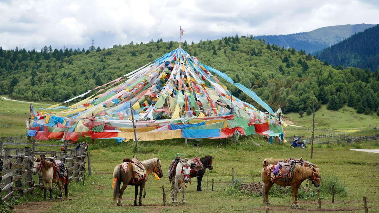 Hornbill Festival 2025: A style guide for dresses that keep you ready for every moment in Nagaland Hornbill Festival 2025: A style guide for dresses that keep you ready for every moment in Nagaland