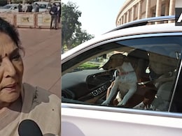 क्या है विशेषाधिकार हनन? कांग्रेस सांसद रेणुका चौधरी संसद परिसर में कुत्ता लाईं तो विवाद, जानें क्या सजा संभव