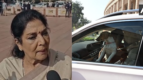 क्या है विशेषाधिकार हनन? कांग्रेस सांसद रेणुका चौधरी संसद परिसर में कुत्ता लाईं तो विवाद, जानें क्या सजा संभव