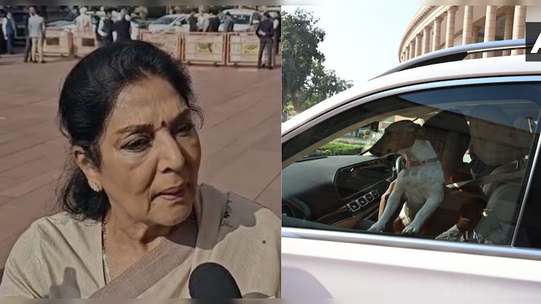 पार्लियामेंट में कुत्ता लाने पर सवाल तो भड़कीं कांग्रेस सांसद रेणुका चौधरी, जानें क्या कह दिया