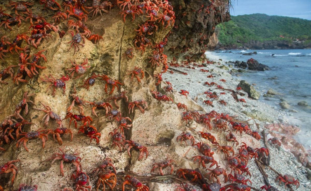 Latest and Breaking News on NDTV Latest and Breaking News on NDTV