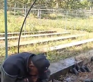 अजगर की धड़कनें थम चुकी थीं...शख्स ने मुंह से सांस देकर ऐसे बचाई जान, देखें VIDEO