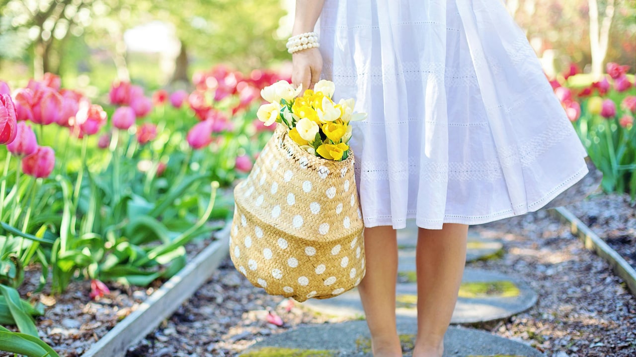 Choose colours that brighten up your natural beauty; Choose colours that brighten up your natural beauty;