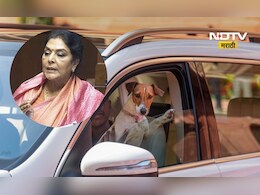 Trending News: संसदेत थेट कुत्र्याला घेवून खासदारांची एन्ट्री, कारण सांगताना थेट नियमांवर बोट