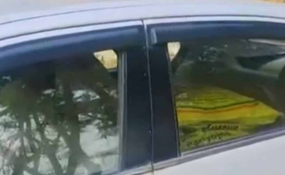 The Art of Baking: From Classic Bread to Artisan Pastries