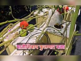 HAIDROPONIX FARMING: मातीशिवाय पिकणार भाजीपाला आणि फळे; काय आहे हायड्रोपोनिक्स तंत्रज्ञान?
