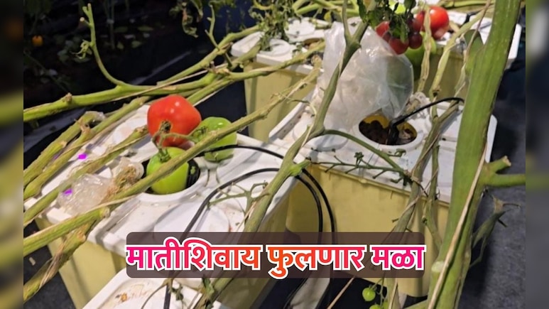 HAIDROPONIX FARMING: मातीशिवाय पिकणार भाजीपाला आणि फळे; काय आहे हायड्रोपोनिक्स तंत्रज्ञान?