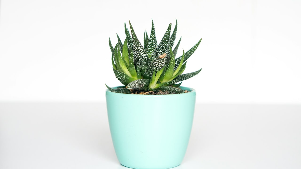 Dont forget to consider the style, pattern, colour, and overall aesthetics Dont forget to consider the style, pattern, colour, and overall aesthetics