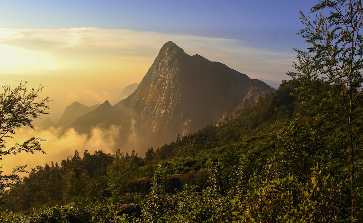 Latest and Breaking News on NDTV