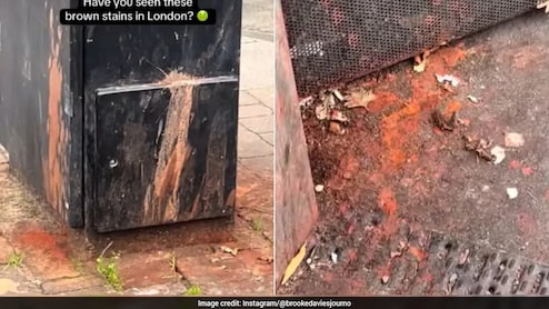 Spitting Paan In UK Costs Two Indian-Origin Men Over Rs 3 Lakh In Fines