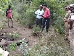 3 Elephants Found Dead In Tamil Nadu Private Forest; 6 Deaths In 3 Months