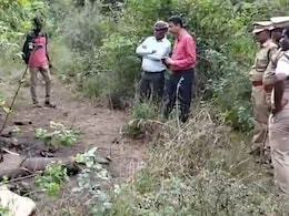 3 Elephants Found Dead In Tamil Nadu Private Forest; 6 Deaths In 3 Months
