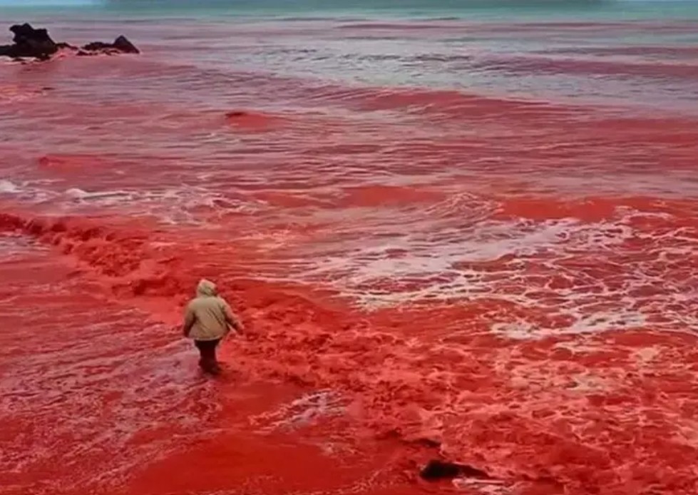 ईरान में क्यों हो रही 'खून की बारिश'! समुद्र तट हो गया पूरा लाल, क्या है इसका रहस्य