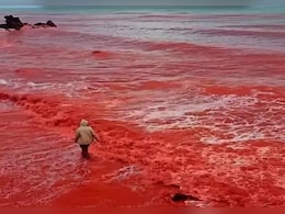 ईरान में क्यों हो रही 'खून की बारिश'! समुद्र तट हो गया पूरा लाल, क्या है इसका रहस्य