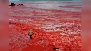 ईरान में क्यों हो रही 'खून की बारिश'! समुद्र तट हो गया पूरा लाल, क्या है इसका रहस्य