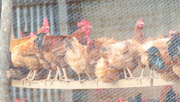 Latest and Breaking News on NDTV Latest and Breaking News on NDTV