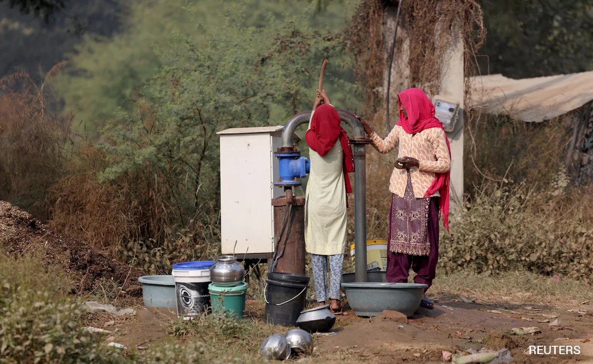 The Art of Baking: From Classic Bread to Artisan Pastries