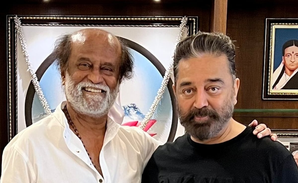 The Art of Baking: From Classic Bread to Artisan Pastries