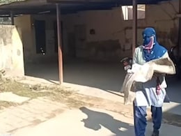 Rajasthan: 1 माह की बच्ची के दोनों हाथ खा गए कुत्ते, खाली प्लॉट में मिला नवजात का क्षत विक्षिप्त शव