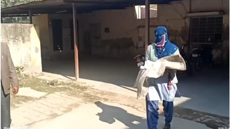 Rajasthan: 1 माह की बच्ची के दोनों हाथ खा गए कुत्ते, खाली प्लॉट में मिला नवजात का क्षत विक्षिप्त शव