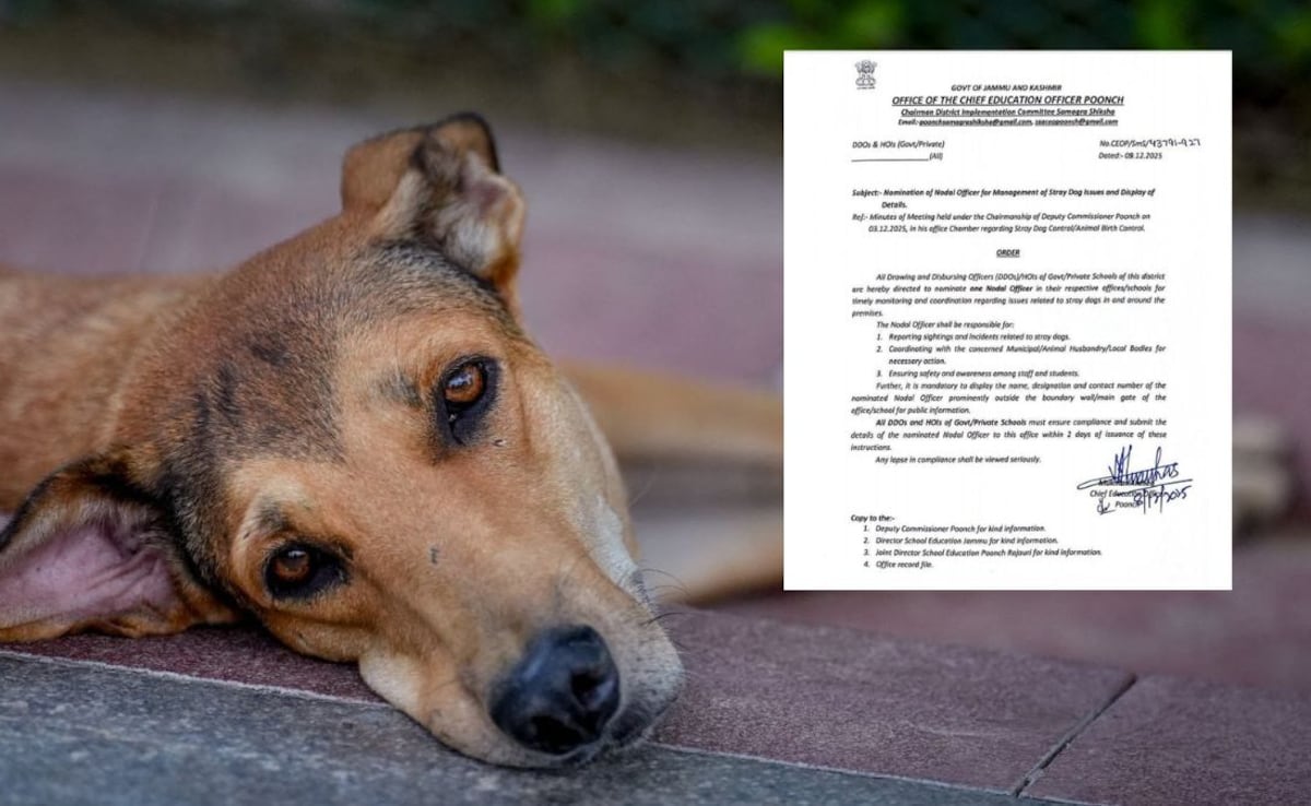 J&K Teachers Directed To Monitor, Report Stray Dog Population Around Schools