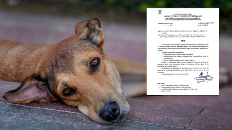 J&K Teachers Directed To Monitor, Report Stray Dog Population Around Schools