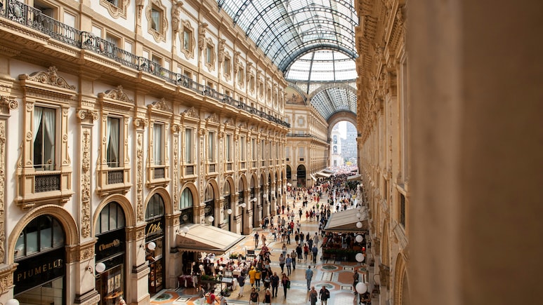 From Winter Olympics To New Wildlife Parks: 10 Big Travel Experiences To Plan For In 2026