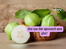 Guava Benefits: रोज एक पेरू खाण्याचे फायदे काय? 99 टक्के लोकांना माहितच नाहीत 'हे' जबरदस्त फायदे