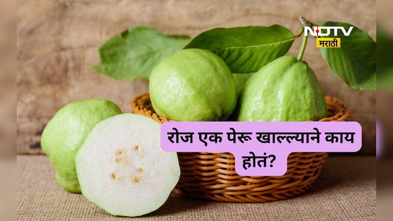 Guava Benefits: रोज एक पेरू खाण्याचे फायदे काय? 99 टक्के लोकांना माहितच नाहीत 'हे' जबरदस्त फायदे