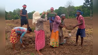 मनरेगा पर आए नए बिल पर क्यों मचा है बवाल?  एकजुट विपक्ष का हल्लाबोल, सरकार ने कही ये बात