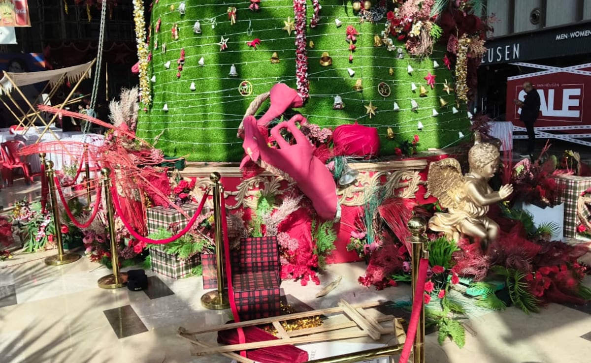 40 Charged For Vandalising Christmas Decorations At Raipur Mall