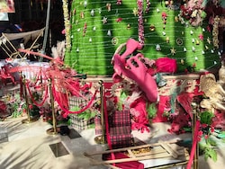 40 Charged For Vandalising Christmas Decorations At Raipur Mall