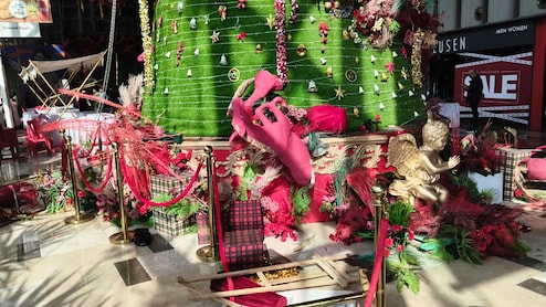 40 Charged For Vandalising Christmas Decorations At Raipur Mall