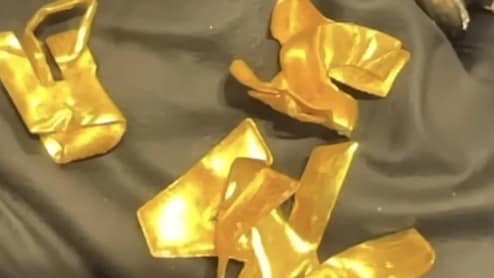 Viral News: LGच्या जुन्या ACतून 24 कॅरेट सोनं बाहेर पडतंय? VIDEO VIRAL झाल्यानंतर लोक भंगारात शोधतायेत खजिना