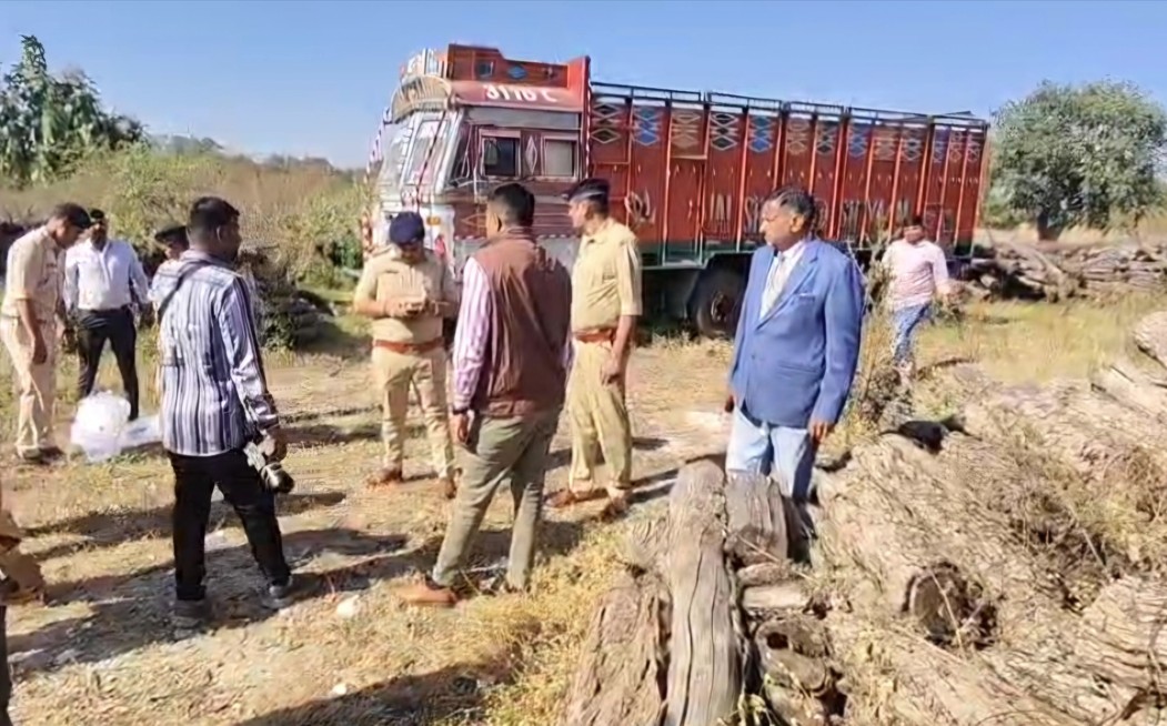 How A Routine Timber Bust Exposed A Massive Terror-Funding Network