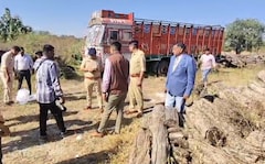 How A Routine Timber Bust Exposed A Massive Terror-Funding Network